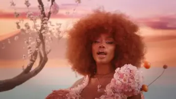 DojaCatSZAKissMeMoreVideo