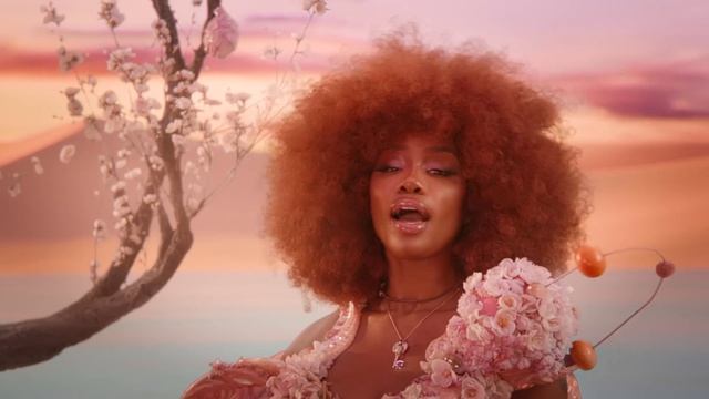 DojaCatSZAKissMeMoreVideo