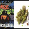 a-ronin-mode-tribute-to-luniz-i-got-5-on-it-hq-remastered