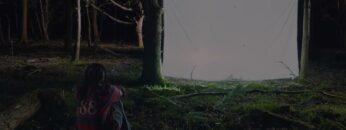 amie-blu-trees-for-the-woods-lyric-video