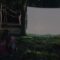 amie-blu-trees-for-the-woods-lyric-video