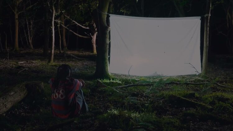 amie-blu-trees-for-the-woods-lyric-video