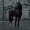 arlo-parks-weightless-official-video