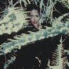 bella-poarch-ribcage-official-music-video