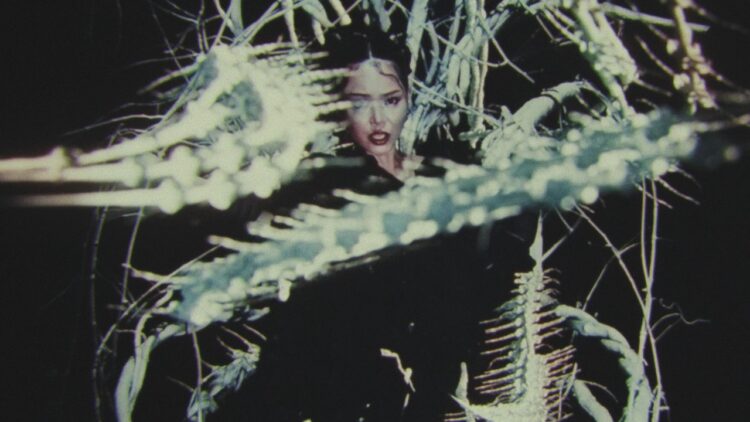 bella-poarch-ribcage-official-music-video