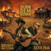 burn-dem-down