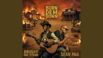 burn-dem-down