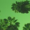 calvin-harris-slide-official-audio-ft-frank-ocean-migos