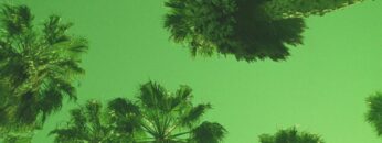 calvin-harris-slide-official-audio-ft-frank-ocean-migos