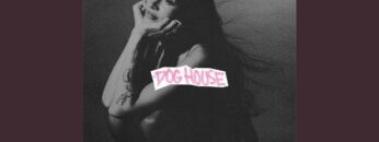 dog-house