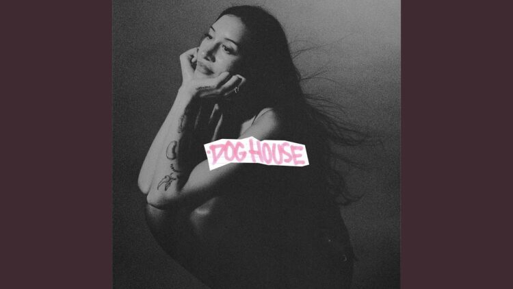 dog-house