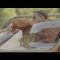 drake-sticky-official-music-video