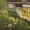 ella-langley-morgan-wallen-i-can-t-love-you-anymore-official-lyric-video