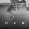 justin-bieber-yukon