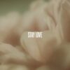 lewis-capaldi-stay-love-official-visualizer