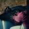 marshmello-x-brent-faiyaz-fell-in-love-official-music-video