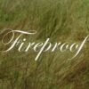mitski-fireproof-one-direction-cover-official-audio
