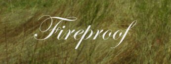 mitski-fireproof-one-direction-cover-official-audio