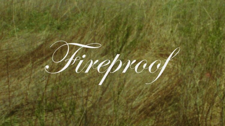 mitski-fireproof-one-direction-cover-official-audio