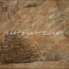morgan-wallen-what-i-want-feat-tate-mcrae-lyric-video