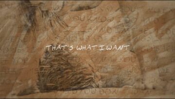 morgan-wallen-what-i-want-feat-tate-mcrae-lyric-video