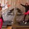 ok-go-here-it-goes-again-official-music-video