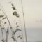 Taylor Swift – august (Official Lyric Video)