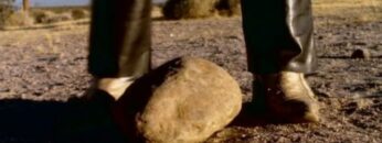 the-cardigans-my-favourite-game-stone-version