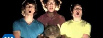 the-wombats-let-s-dance-to-joy-division-official-video