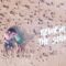 Ummet Ozcan X Frogmonster – Remember the Summer (feat. Karra) [Official Music Video]