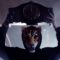 Martin Garrix – Animals (Official Video)