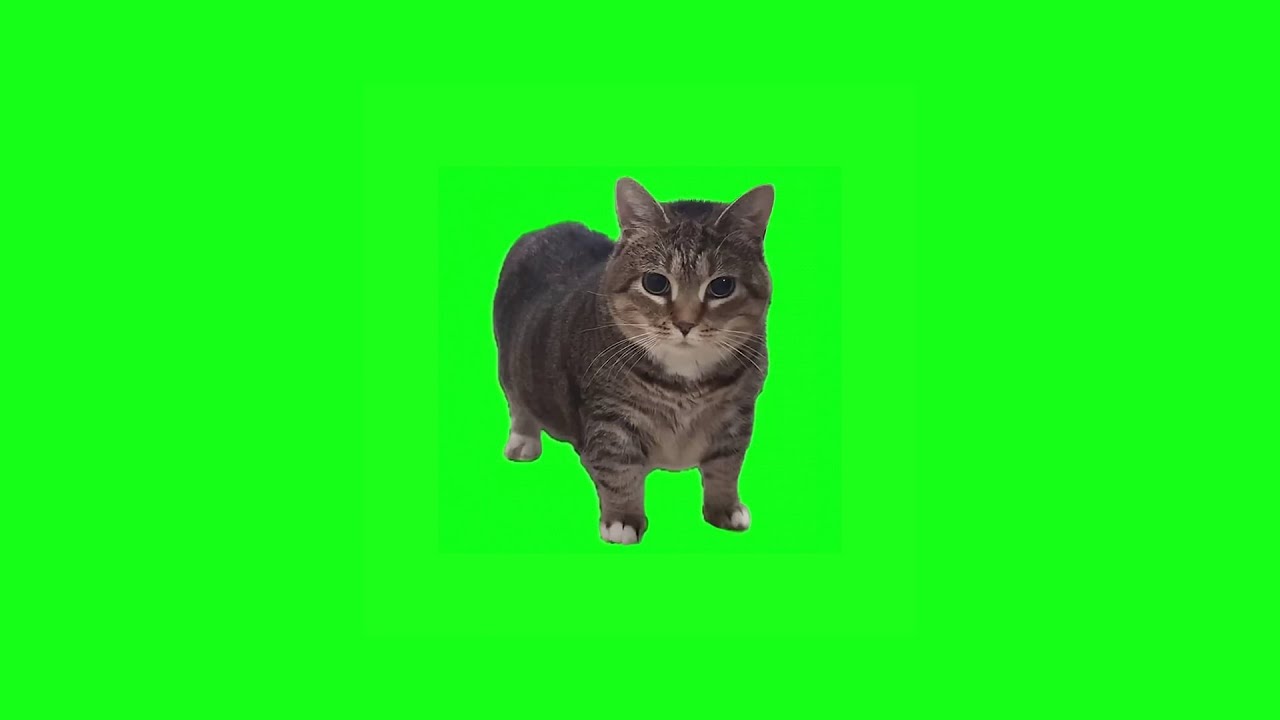 Preload Image