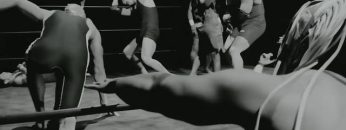 19493-thumb.jpg