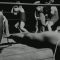 19493-thumb.jpg
