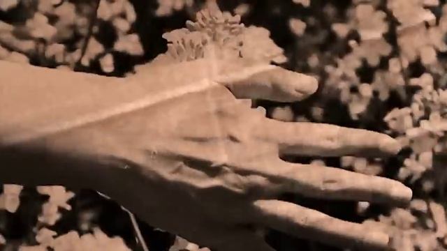 5303-thumb.jpg